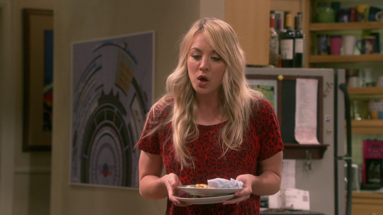 Chamed-Online-dot-nl_TheBigBangTheory12x22-0747.jpg