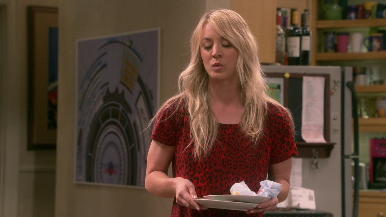 Chamed-Online-dot-nl_TheBigBangTheory12x22-0753.jpg