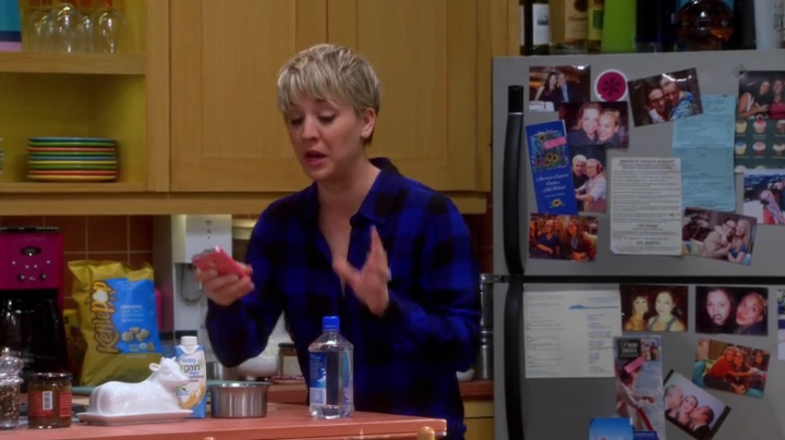 charmed-online-dot-net_TBBT-S08E15-0417.jpg