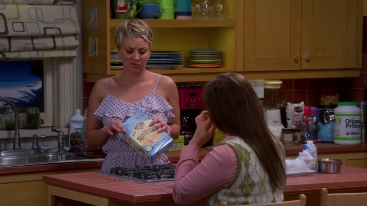 charmed-online-dot-net_TBBT-S08E15-0510.jpg