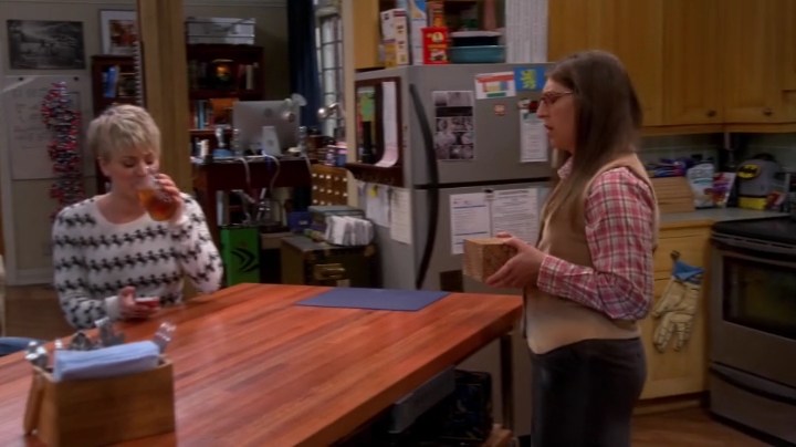 charmed-online-dot-net_TBBT-S08E15-0514.jpg