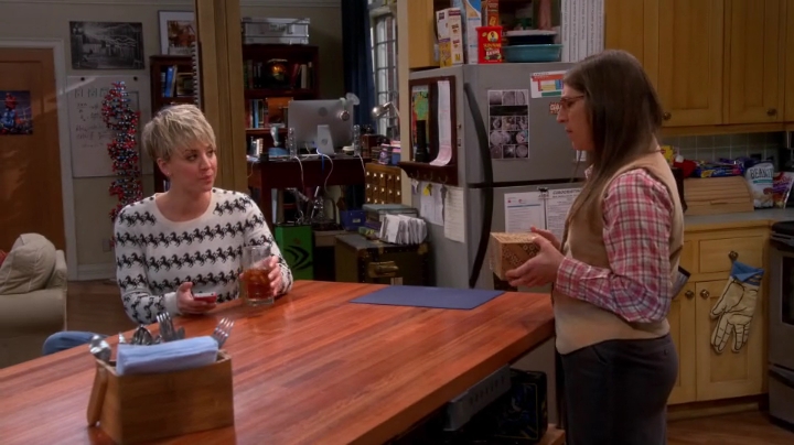 charmed-online-dot-net_TBBT-S08E15-0515.jpg