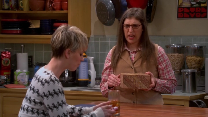charmed-online-dot-net_TBBT-S08E15-0517.jpg