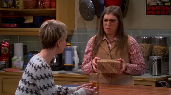 charmed-online-dot-net_TBBT-S08E15-0519.jpg