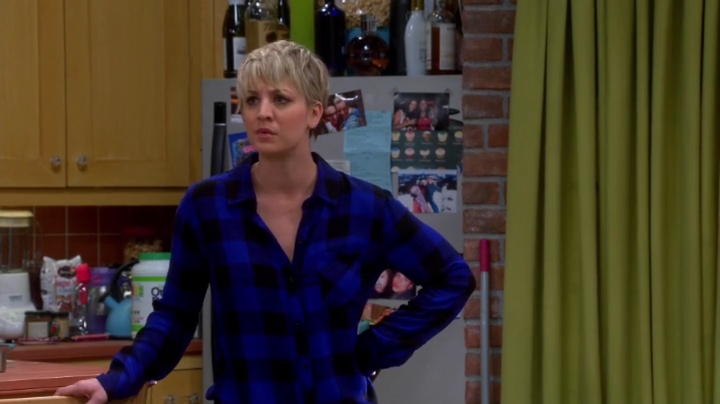 charmed-online-dot-net_TBBT-S08E15-0558.jpg