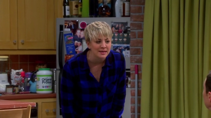 charmed-online-dot-net_TBBT-S08E15-0569.jpg