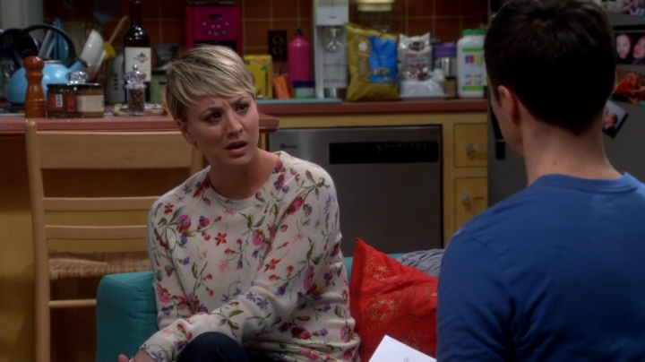 charmed-online-dot-net_TBBT-S08E16-0420.jpg