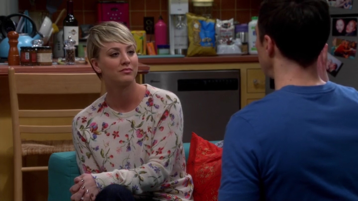 charmed-online-dot-net_TBBT-S08E16-0441.jpg