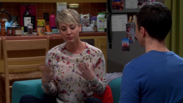 charmed-online-dot-net_TBBT-S08E16-0509.jpg