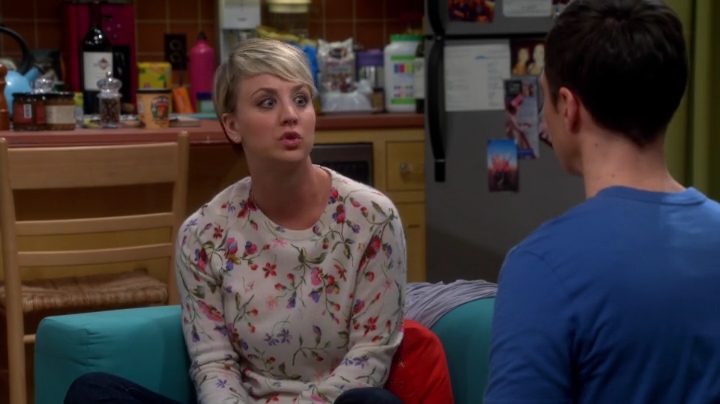 charmed-online-dot-net_TBBT-S08E16-0550.jpg