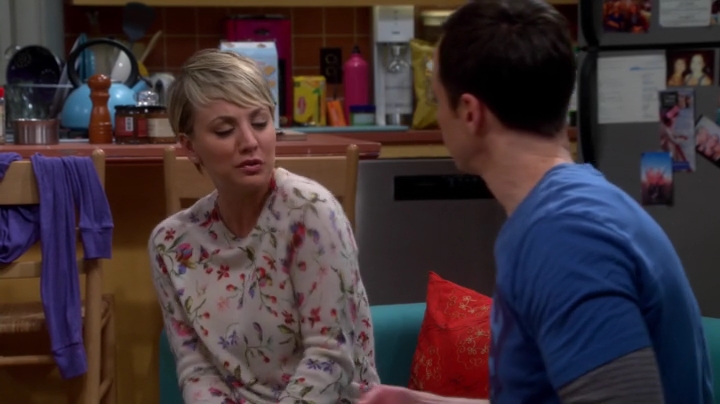 charmed-online-dot-net_TBBT-S08E16-1020.jpg
