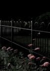 Charmed-Online-dot-NL-DeadAwake0915.jpg