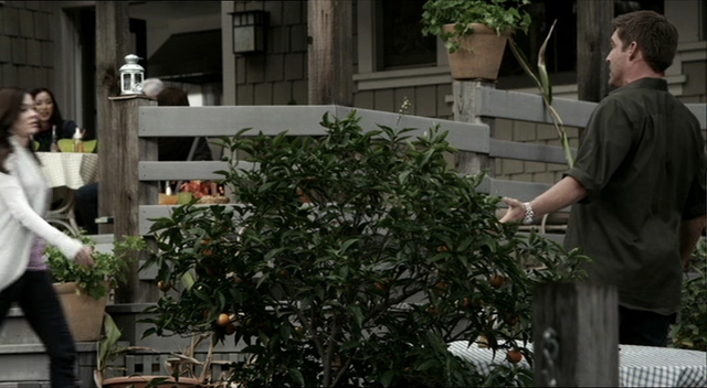 Charmed-Online-dot-net_RosewoodLane2139.jpg