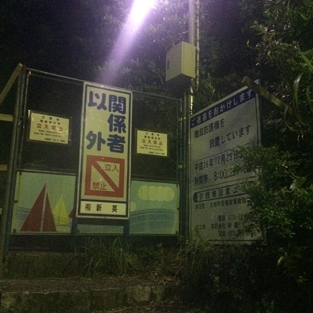 184.jpg