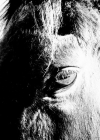 Bestandsnaam=260.jpg
Bestandsgrootte=127KiB
Afmetingen = 640x640
Datum toegevoegd = aug 07, 2016 260.jpg