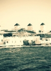 207.jpg