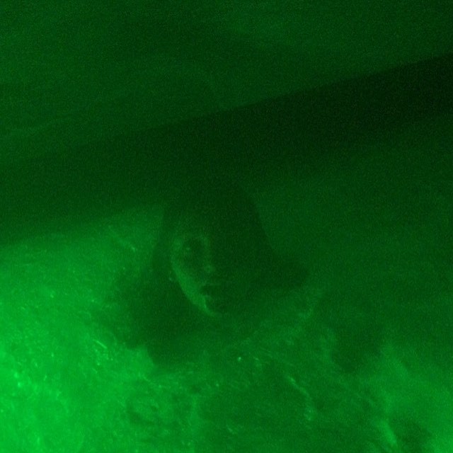 035.jpg