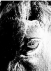 031.jpg