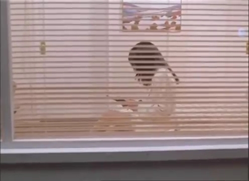 Charmed-Online-dot-nl_AlmostDead3096.jpg Charmed-Online-dot-nl_AlmostDead3096.jpg