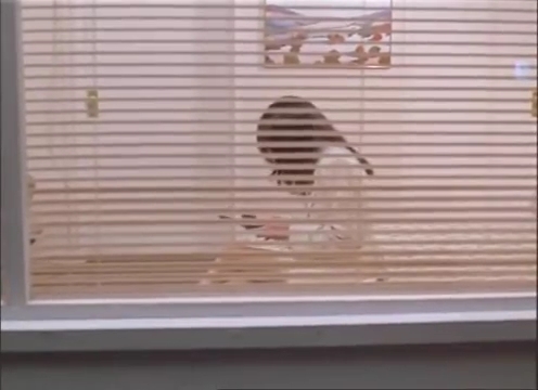 Charmed-Online-dot-nl_AlmostDead3098.jpg Charmed-Online-dot-nl_AlmostDead3098.jpg