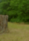 charmed-online-dot-nl_BH90210-1x03-01837.jpg