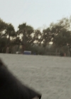 Charmed-Online-dot-net_BloodLakeAttackoftheKillerLampreys3553.jpg