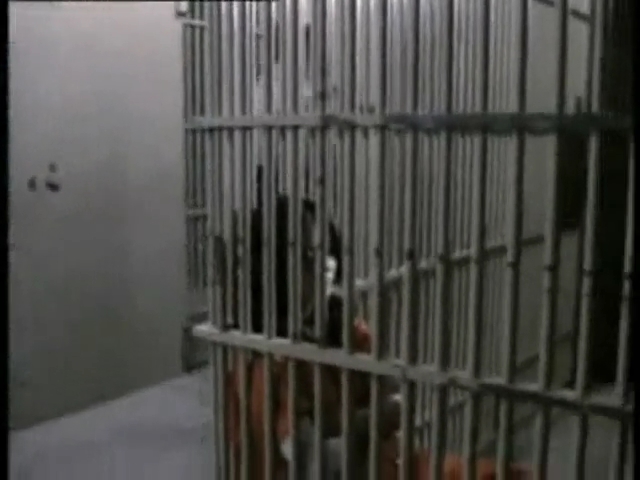 Charmed-Online-dot-net_GoneInTheWind4191.jpg Charmed-Online-dot-net_GoneInTheWind4191.jpg