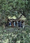 Bestandsnaam=Charmed-Online-dot_nl-LittleHouseonthePrairie9x04-2587.jpg
Bestandsgrootte=162KiB
Afmetingen = 432x320
Datum toegevoegd = apr 29, 2016 Charmed-Online-dot_nl-LittleHouseonthePrairie9x04-2587.jpg