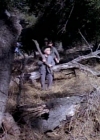Charmed-Online-dot_nl-LittleHouseonthePrairie9x06-1181.jpg