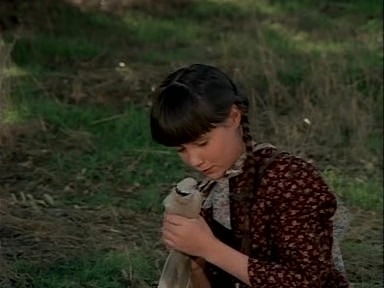 Charmed-Online-dot-NLCharmed-Online-dot-NL-LittleHouseonthePrairie9x12-2479.jpg