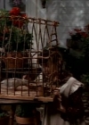 Charmed-Online-dot-NLCharmed-Online-dot-NL-LittleHouseonthePrairie9x12-2838.jpg