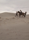 Charmed-Online_dot_nl-LostTreasureOfTheGrandCanyon2220.jpg