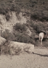 Charmed-Online_dot_nl-LostTreasureOfTheGrandCanyon2578.jpg