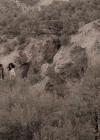 Bestandsnaam=Charmed-Online_dot_nl-LostTreasureOfTheGrandCanyon5750.jpg
Bestandsgrootte=390KiB
Afmetingen = 900x506
Datum toegevoegd = sep 23, 2015 Charmed-Online_dot_nl-LostTreasureOfTheGrandCanyon5750.jpg