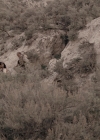 Charmed-Online_dot_nl-LostTreasureOfTheGrandCanyon5751.jpg