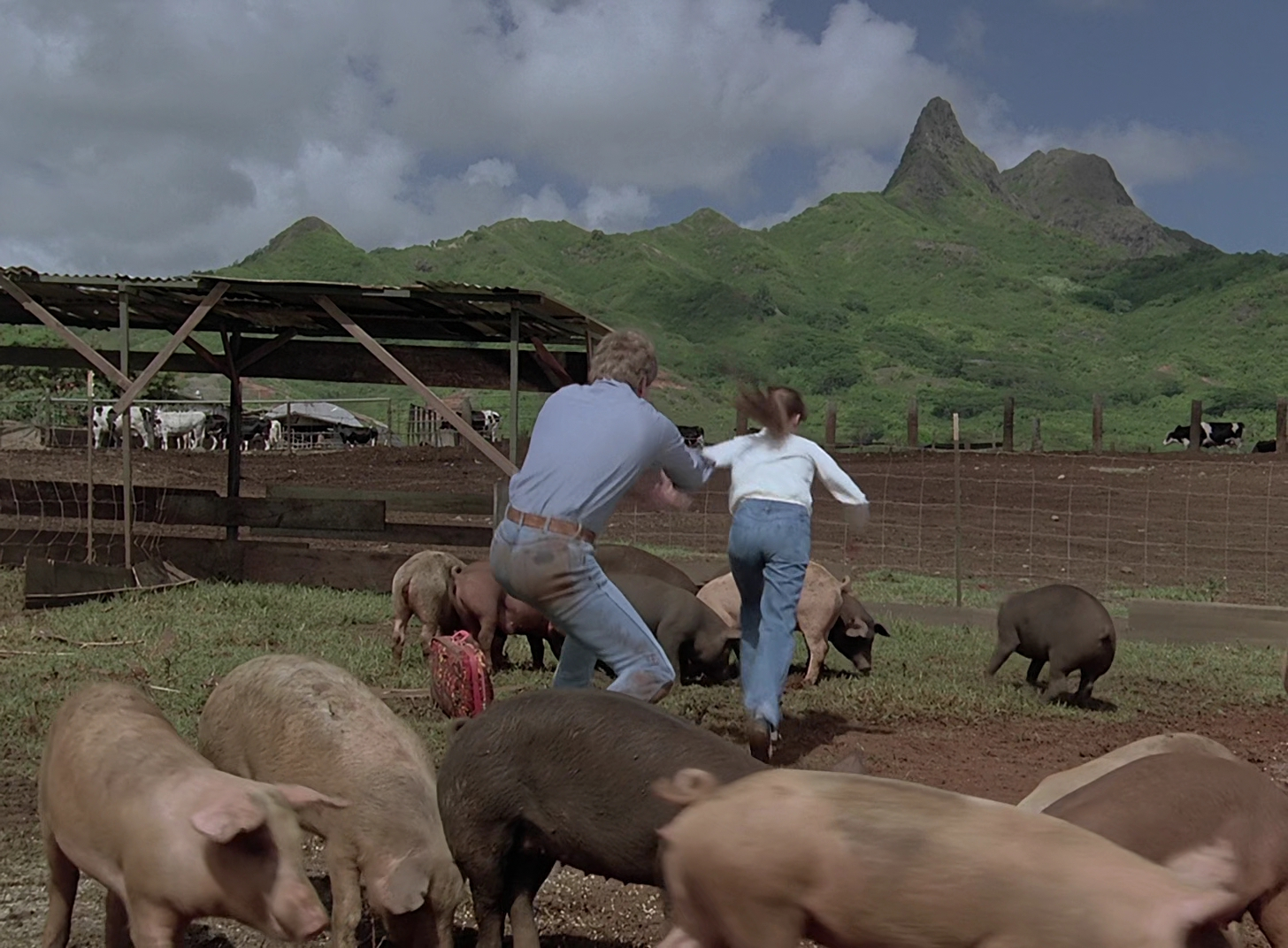 Charmed-Online-dot-nl_MagnumPI4x080280.jpg Charmed-Online-dot-nl_MagnumPI4x080280.jpg