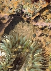 Bestandsnaam=025-2.jpg
Bestandsgrootte=511KiB
Afmetingen = 720x720
Datum toegevoegd = jan 03, 2020 025-2.jpg