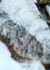 Bestandsnaam=027-3.jpg
Bestandsgrootte=468KiB
Afmetingen = 720x720
Datum toegevoegd = jan 03, 2020 027-3.jpg