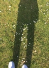 040-1.jpg