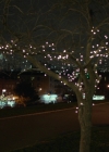 Charmed-Online-dot-nl_BreakingBrooklynskyBusiness2640.jpg