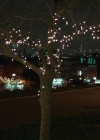 Bestandsnaam=Charmed-Online-dot-nl_BreakingBrooklynskyBusiness2643.jpg
Bestandsgrootte=975KiB
Afmetingen = 1904x1024
Datum toegevoegd = mei 04, 2021 Charmed-Online-dot-nl_BreakingBrooklynskyBusiness2643.jpg