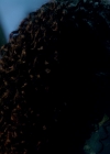 Bestandsnaam=Charmed-Online-dot-nl_IntoTheBallands1x02-01706.jpg
Bestandsgrootte=843KiB
Afmetingen = 1920x1080
Datum toegevoegd = dec 04, 2019 Charmed-Online-dot-nl_IntoTheBallands1x02-01706.jpg