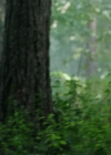 Bestandsnaam=Charmed-Online-dot-nl_IntoTheBadlands2x05-2520.jpg
Bestandsgrootte=987KiB
Afmetingen = 1920x1080
Datum toegevoegd = dec 04, 2019 Charmed-Online-dot-nl_IntoTheBadlands2x05-2520.jpg