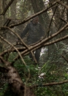 Bestandsnaam=Charmed-Online-dot-nl_IntoTheBadlands2x06-0373.jpg
Bestandsgrootte=1361KiB
Afmetingen = 1920x1080
Datum toegevoegd = dec 04, 2019 Charmed-Online-dot-nl_IntoTheBadlands2x06-0373.jpg
