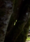 Bestandsnaam=Charmed-Online-dot-nl_TheTomorrowPeople1x22-2125.jpg
Bestandsgrootte=154KiB
Afmetingen = 720x404
Datum toegevoegd = apr 18, 2020 Charmed-Online-dot-nl_TheTomorrowPeople1x22-2125.jpg