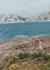 007-2.jpg
