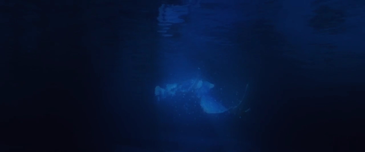 Charmed-Online-dot-nl-TheLittleMermaid3012.jpg Charmed-Online-dot-nl-TheLittleMermaid3012.jpg