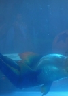 Charmed-Online-dot-nl-TheLittleMermaid1104.jpg
