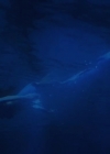 Bestandsnaam=Charmed-Online-dot-nl-TheLittleMermaid3006.jpg
Bestandsgrootte=130KiB
Afmetingen = 1280x534
Datum toegevoegd = mrt 22, 2020 Charmed-Online-dot-nl-TheLittleMermaid3006.jpg