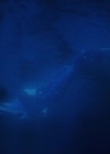 Bestandsnaam=Charmed-Online-dot-nl-TheLittleMermaid3007.jpg
Bestandsgrootte=119KiB
Afmetingen = 1280x534
Datum toegevoegd = mrt 22, 2020 Charmed-Online-dot-nl-TheLittleMermaid3007.jpg